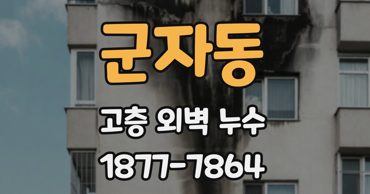 군자동 고층 외벽 누수