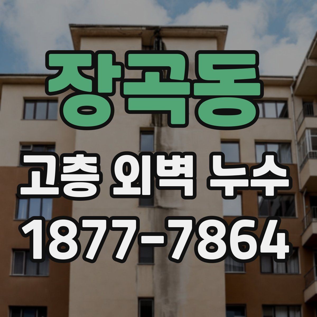 장곡동 고층 외벽 누수 진단 장비 활용이 필요한 상황
