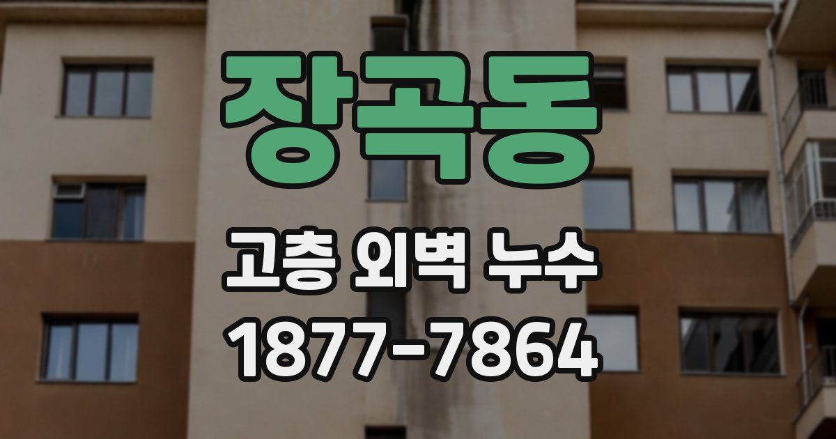 장곡동 고층 외벽 누수