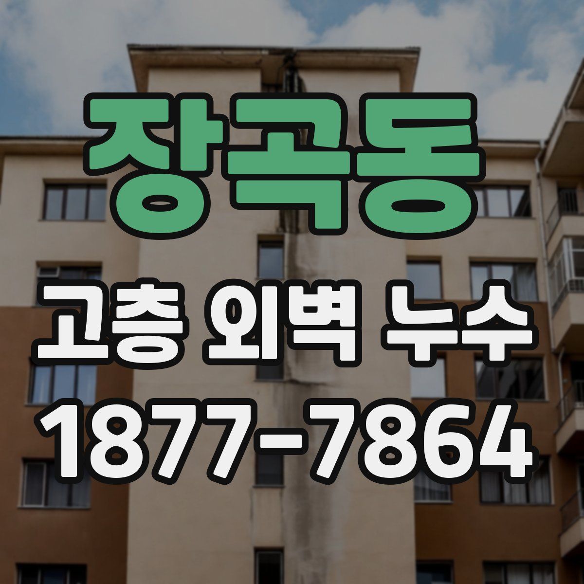 장곡동 고층 외벽 누수