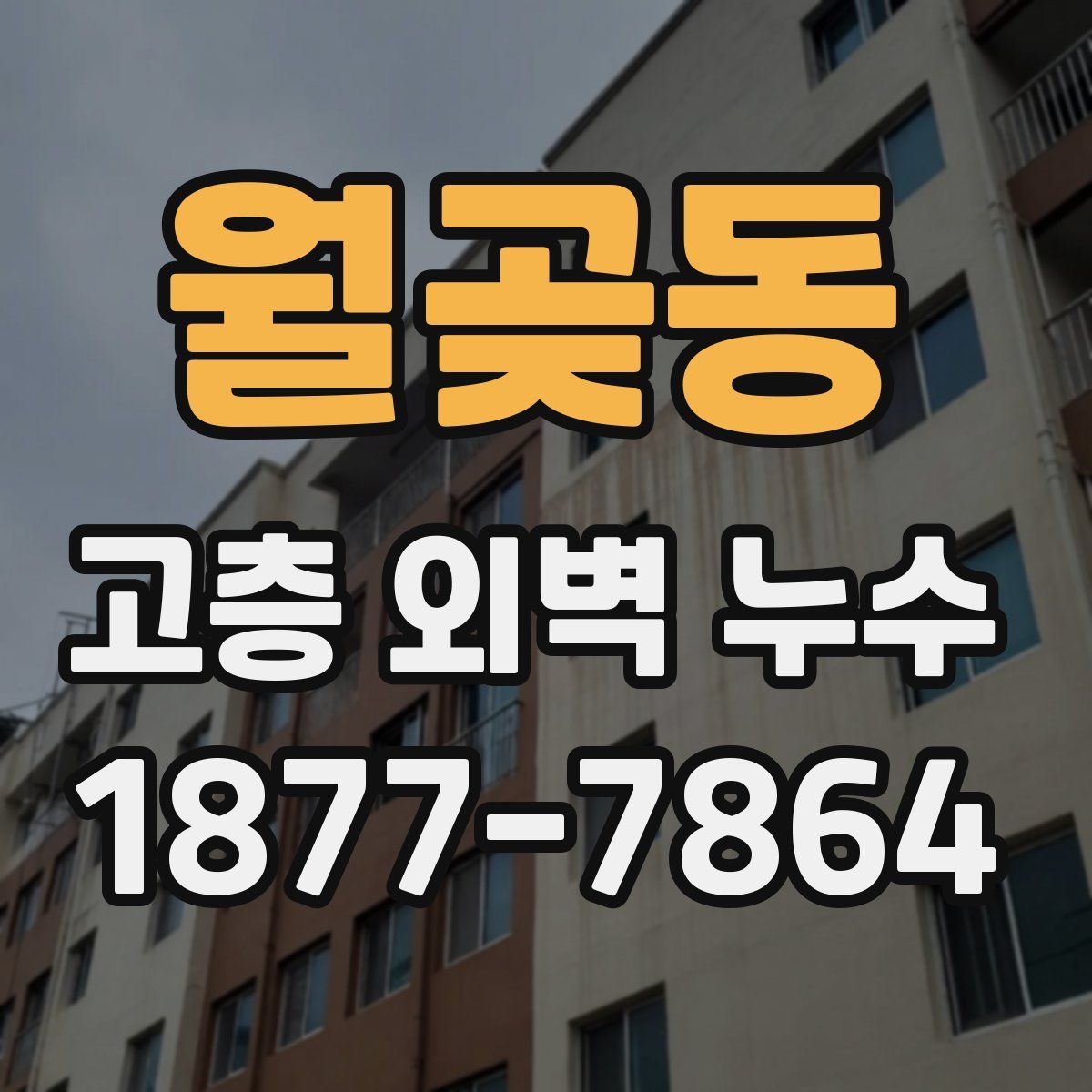 월곶동 고층 외벽 누수