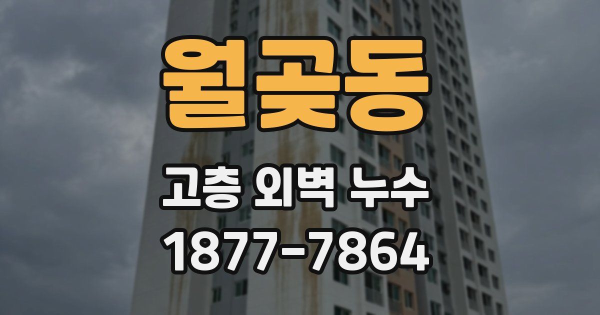 월곶동 고층 외벽 누수