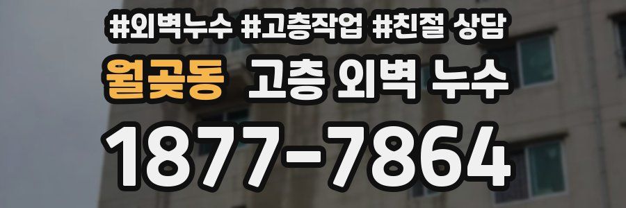 월곶동 고층 외벽 누수