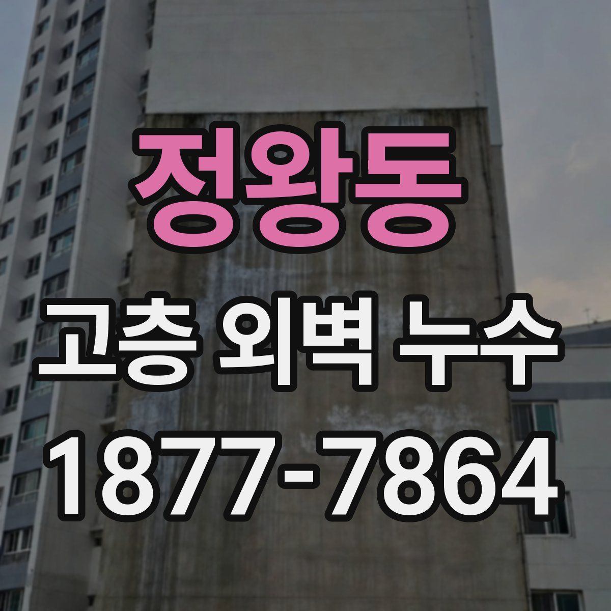 정왕동 고층 외벽 누수
