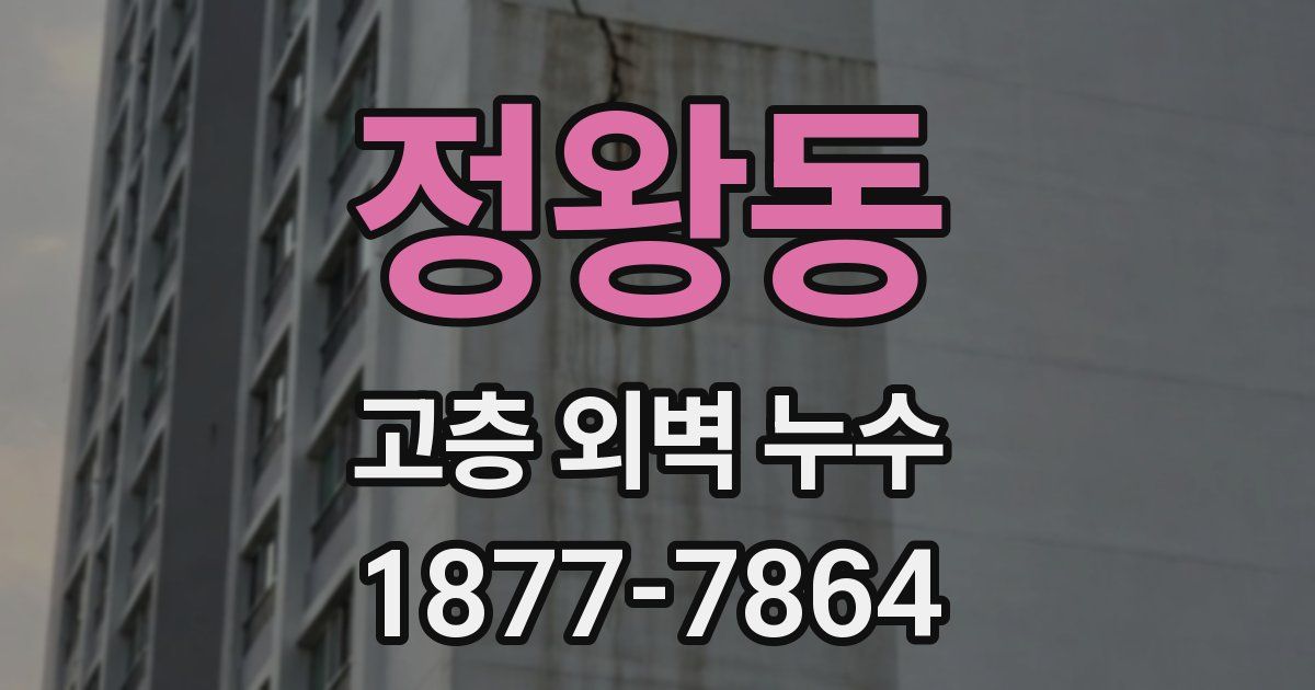 정왕동 고층 외벽 누수