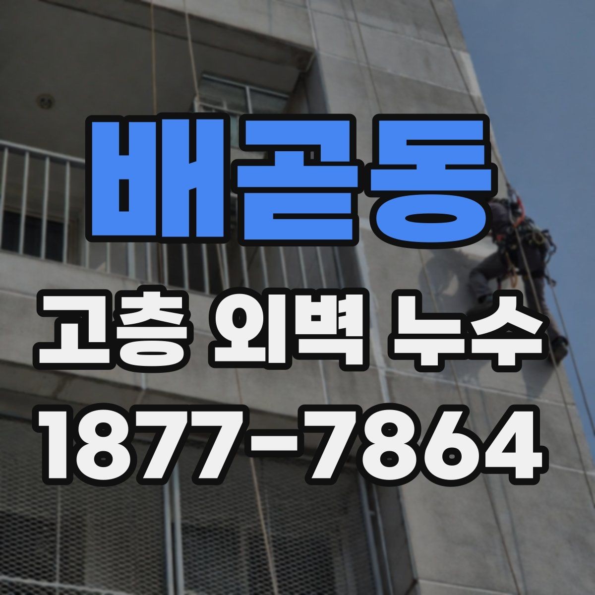 배곧동 고층 외벽 누수 외벽 상태 점검 체크리스트