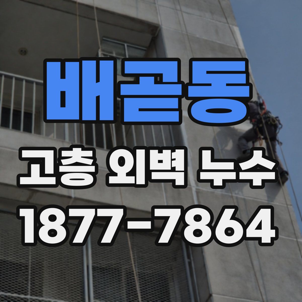 배곧동 고층 외벽 누수