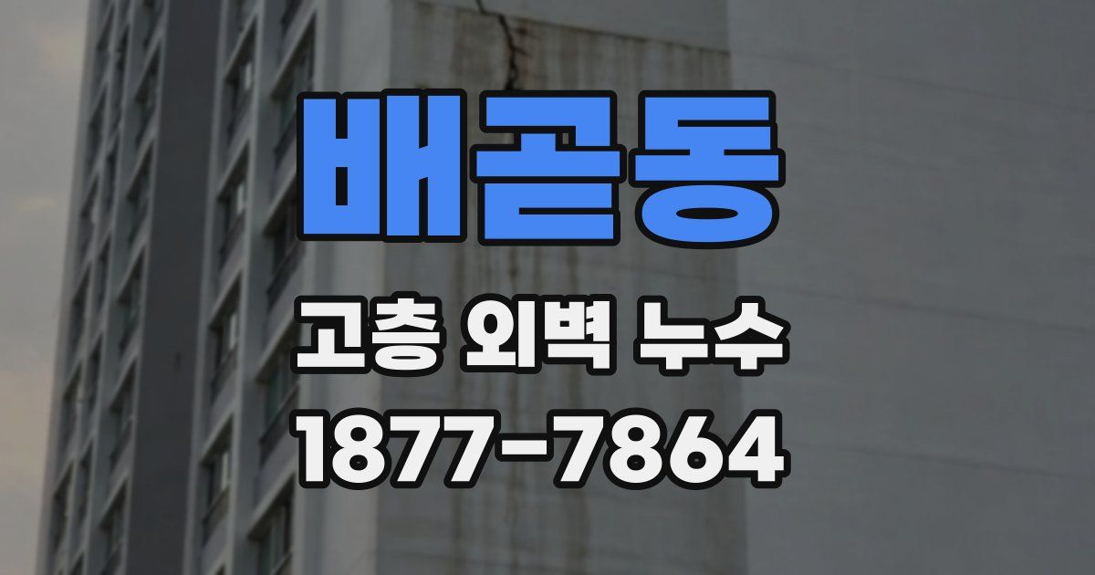배곧동 고층 외벽 누수