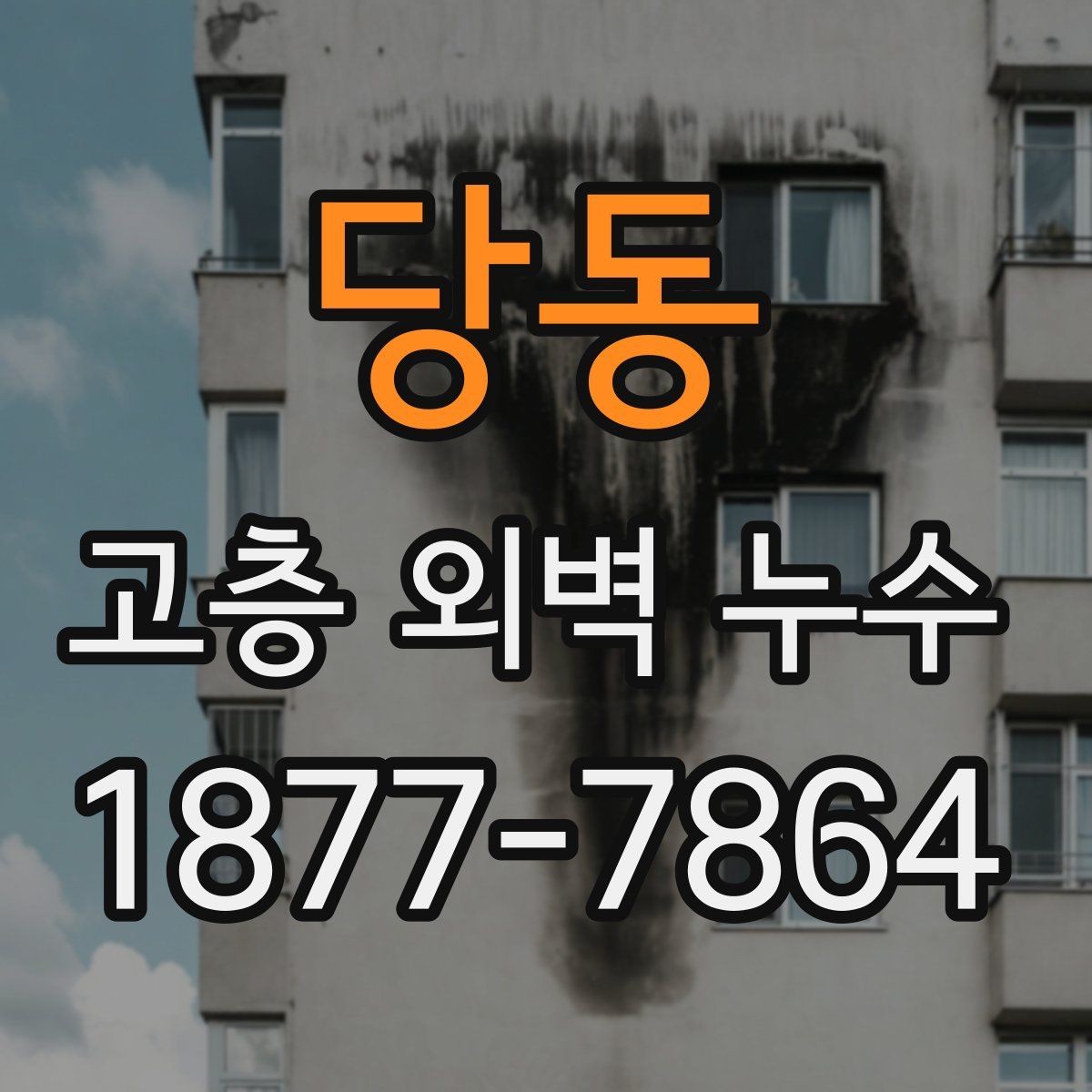 당동 고층 외벽 누수 점검 시 자주 묻는 질문
