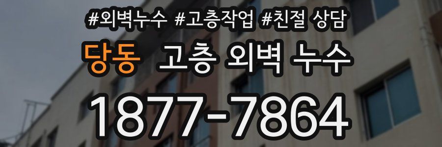 당동 고층 외벽 누수