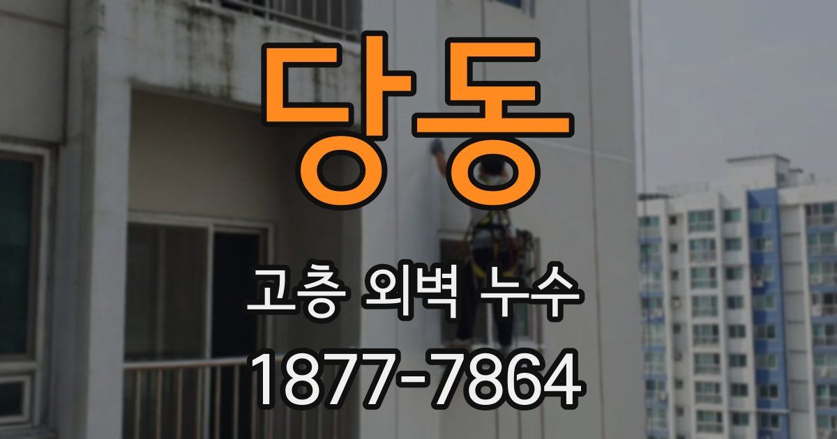 당동 고층 외벽 누수