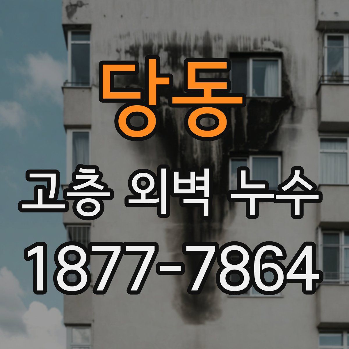 당동 고층 외벽 누수