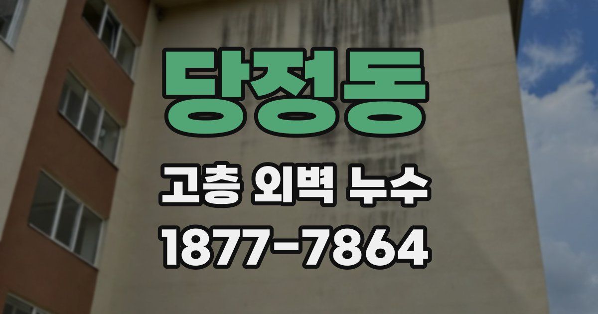 당정동 고층 외벽 누수