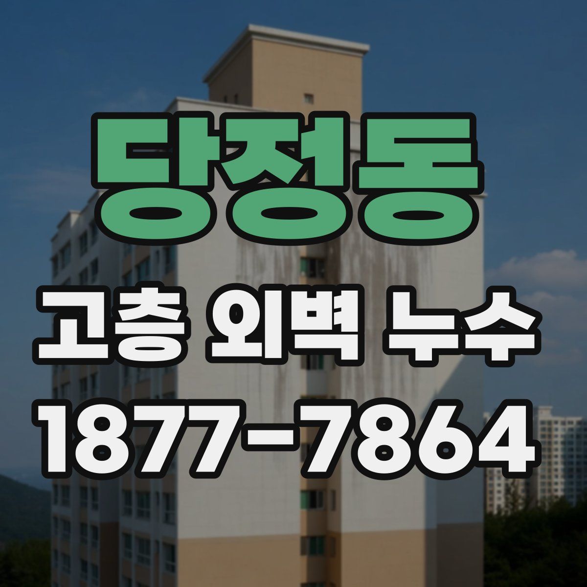 당정동 고층 외벽 누수