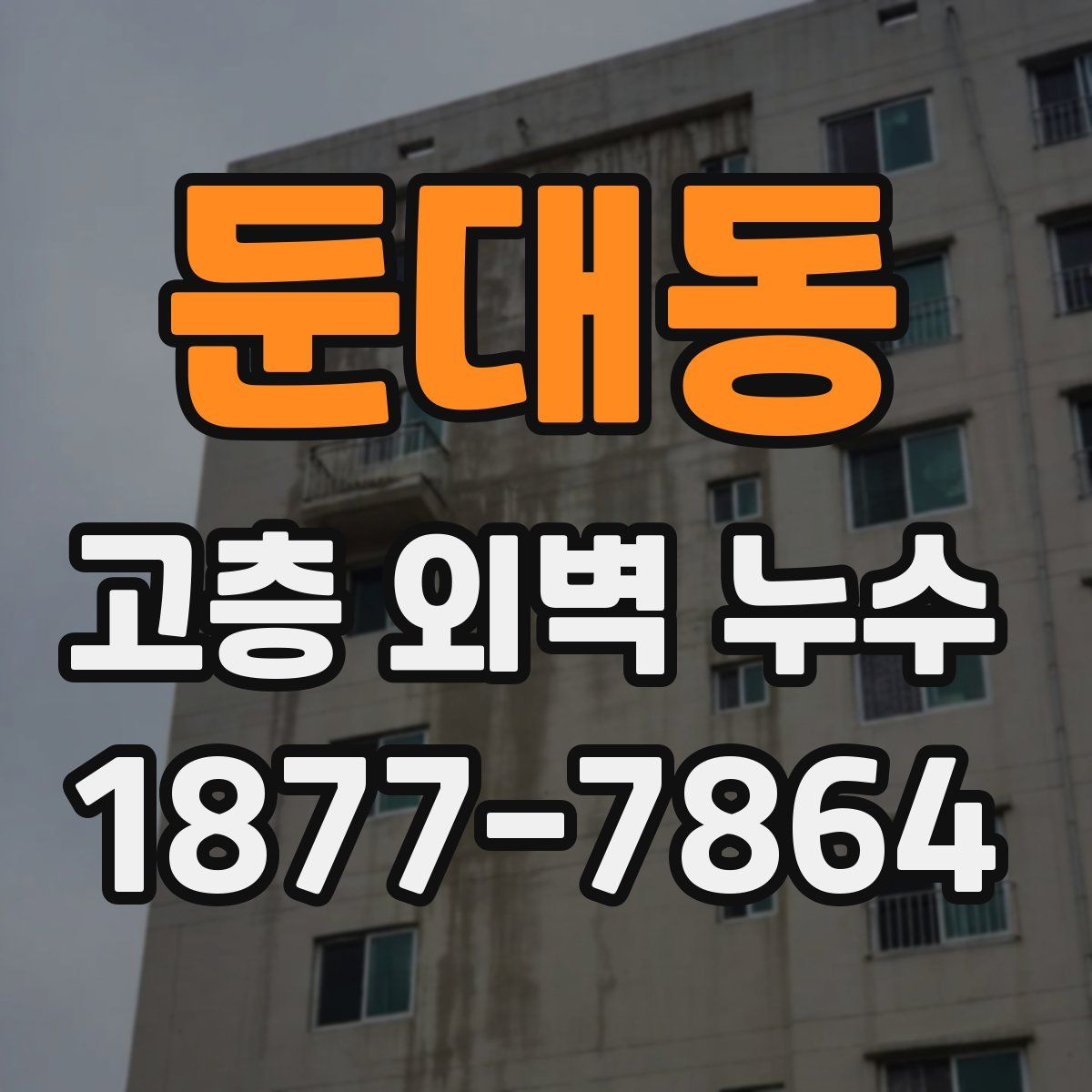 둔대동 고층 외벽 누수