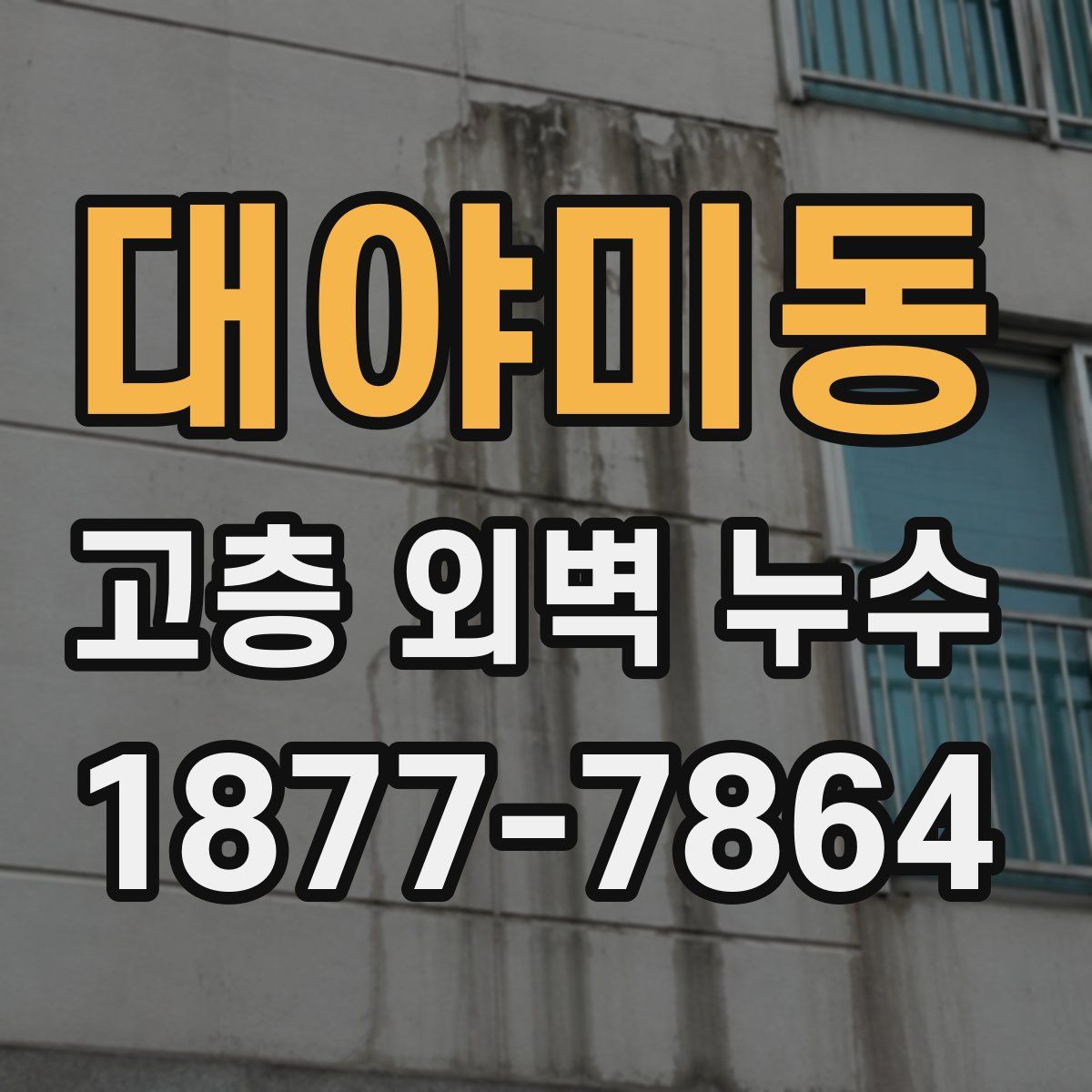 대야미동 고층 외벽 누수
