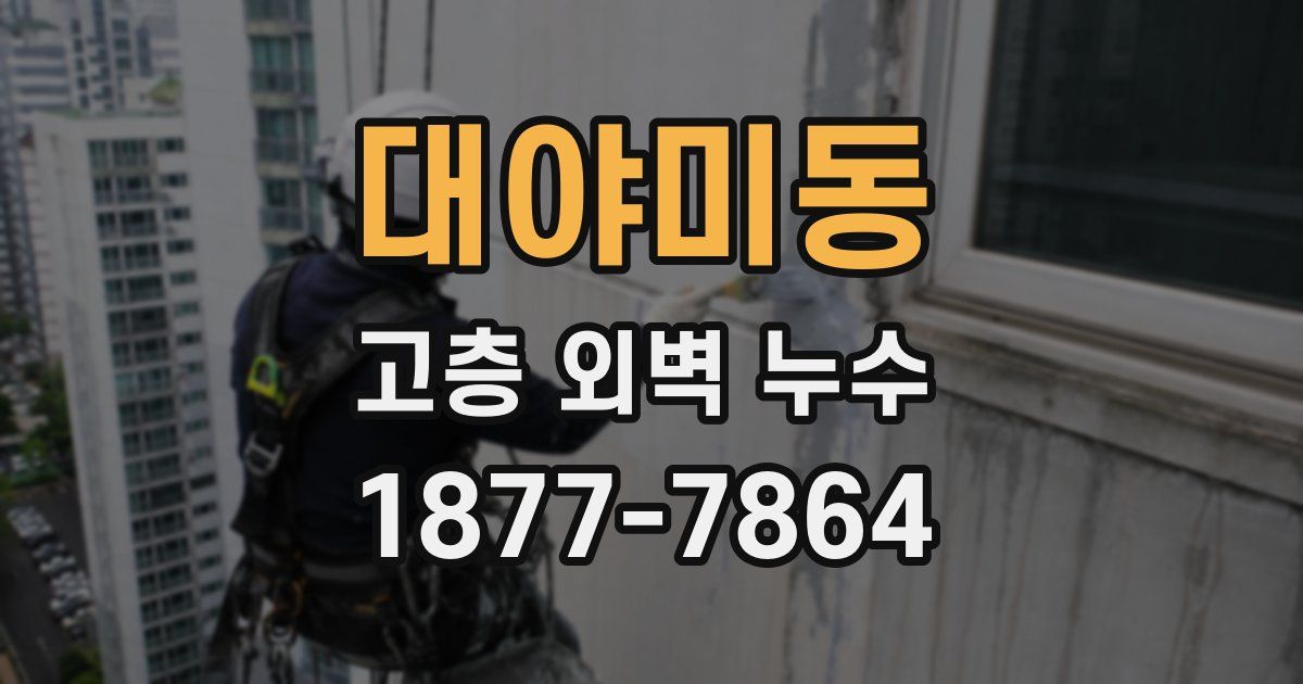 대야미동 고층 외벽 누수