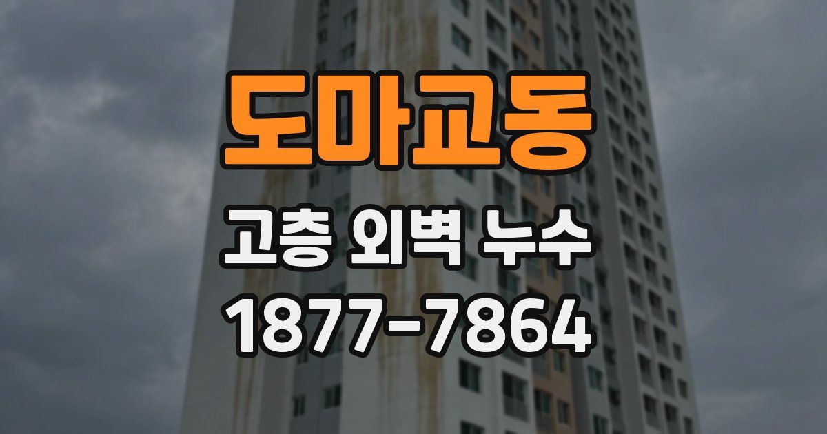 도마교동 고층 외벽 누수