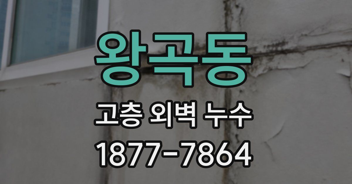 왕곡동 고층 외벽 누수
