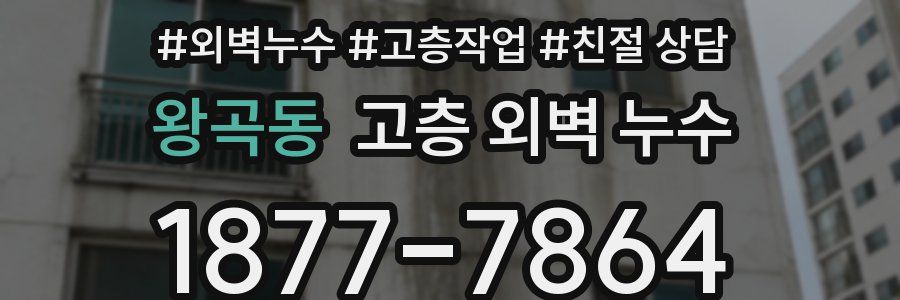 왕곡동 고층 외벽 누수