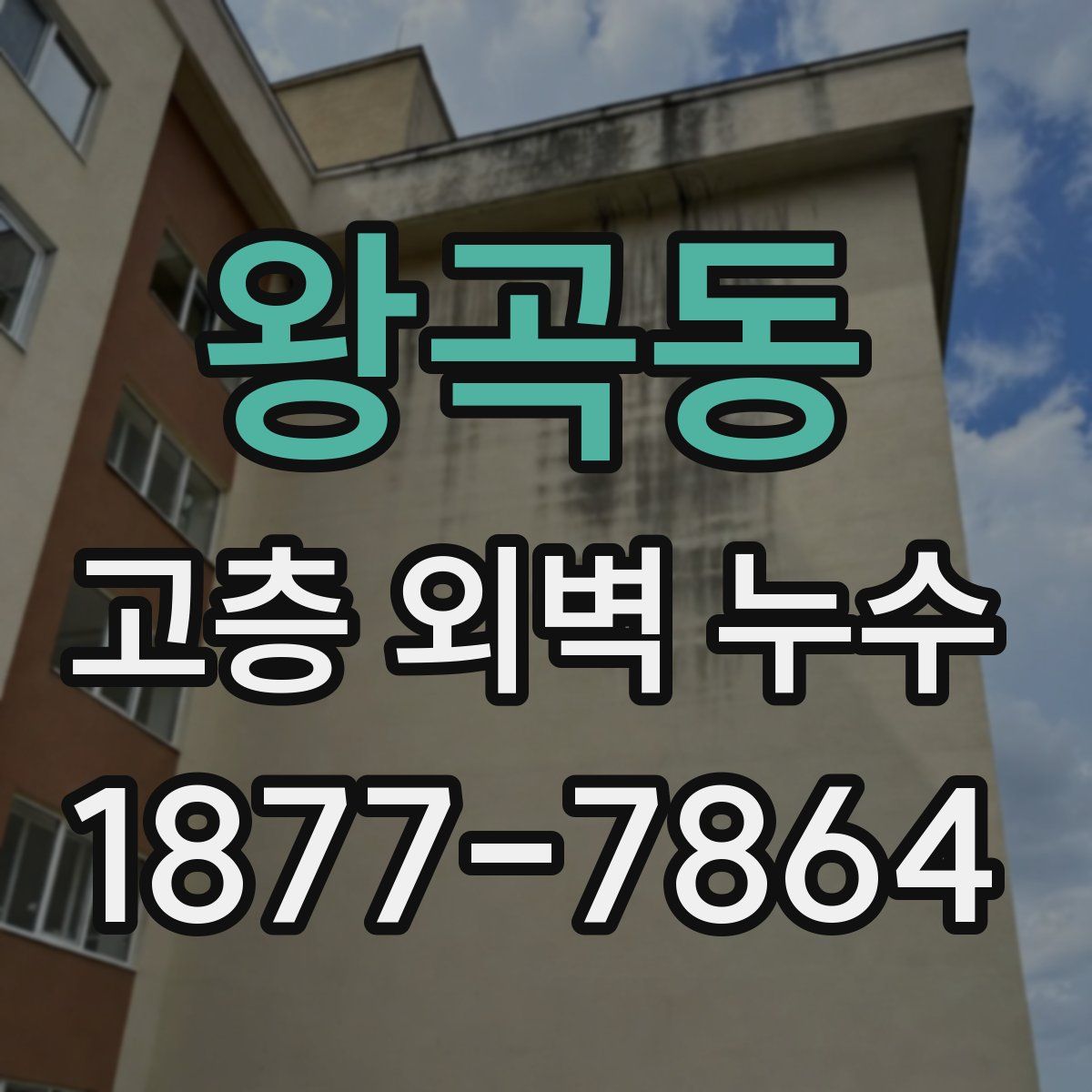 왕곡동 고층 외벽 누수