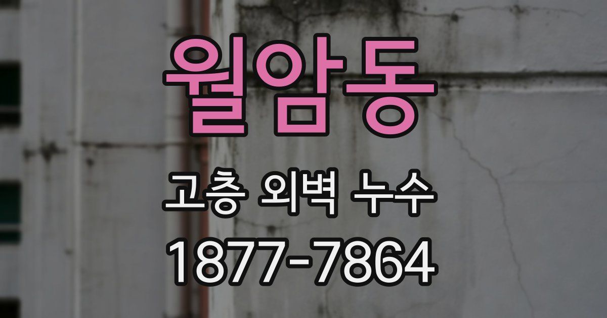 월암동 고층 외벽 누수