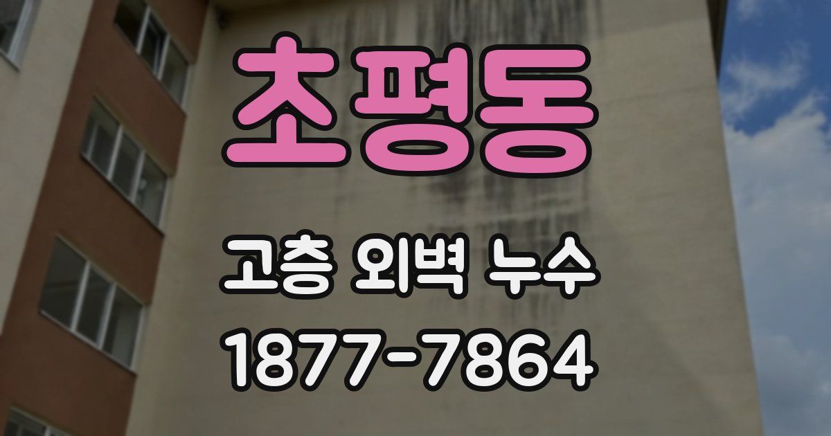 초평동 고층 외벽 누수