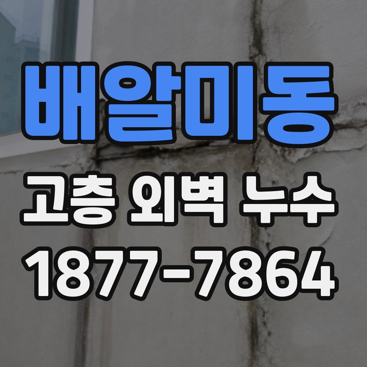 배알미동 고층 외벽 누수