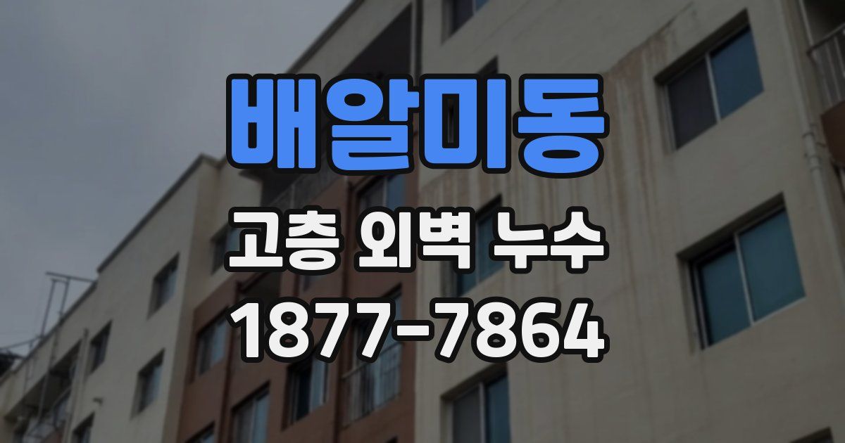 배알미동 고층 외벽 누수