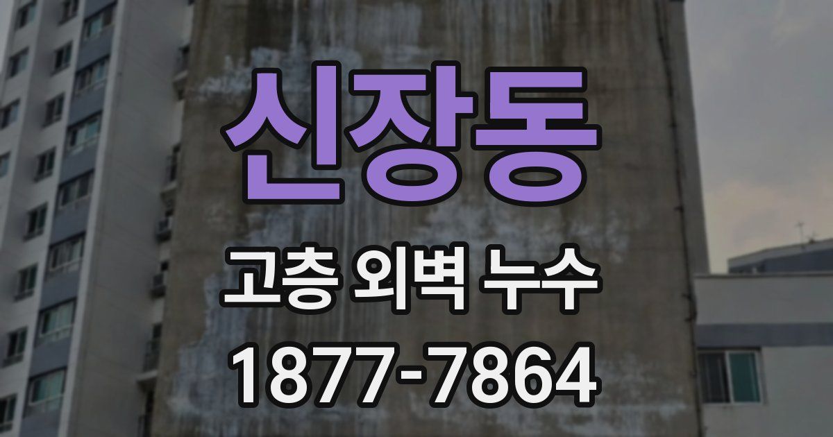 신장동 고층 외벽 누수