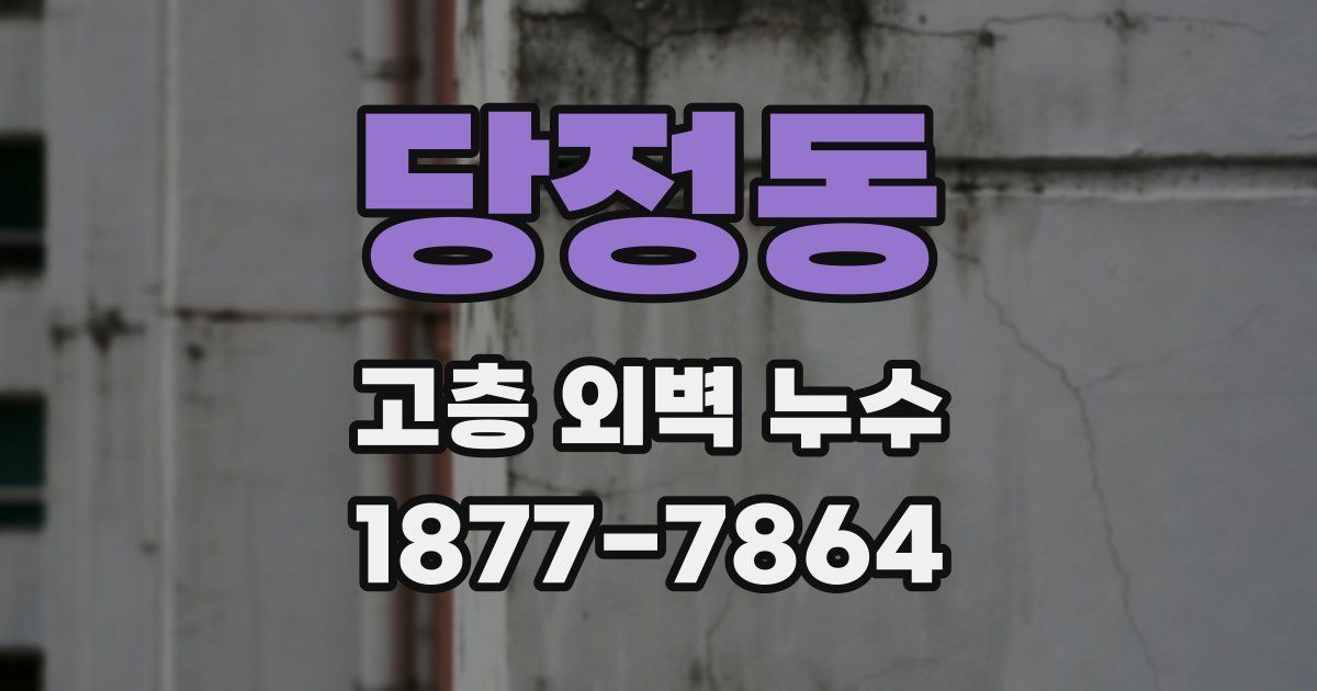 당정동 고층 외벽 누수