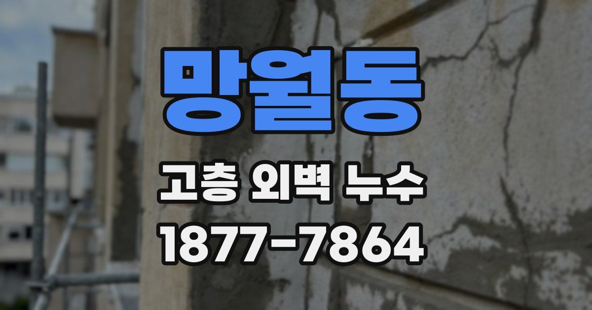 망월동 고층 외벽 누수