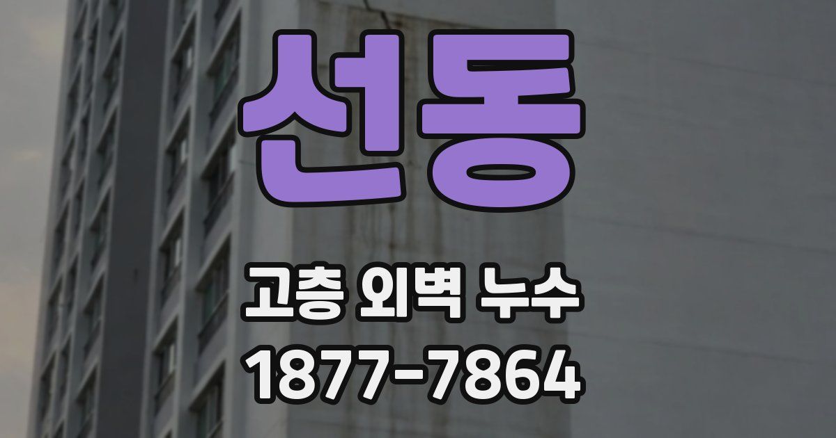 선동 고층 외벽 누수