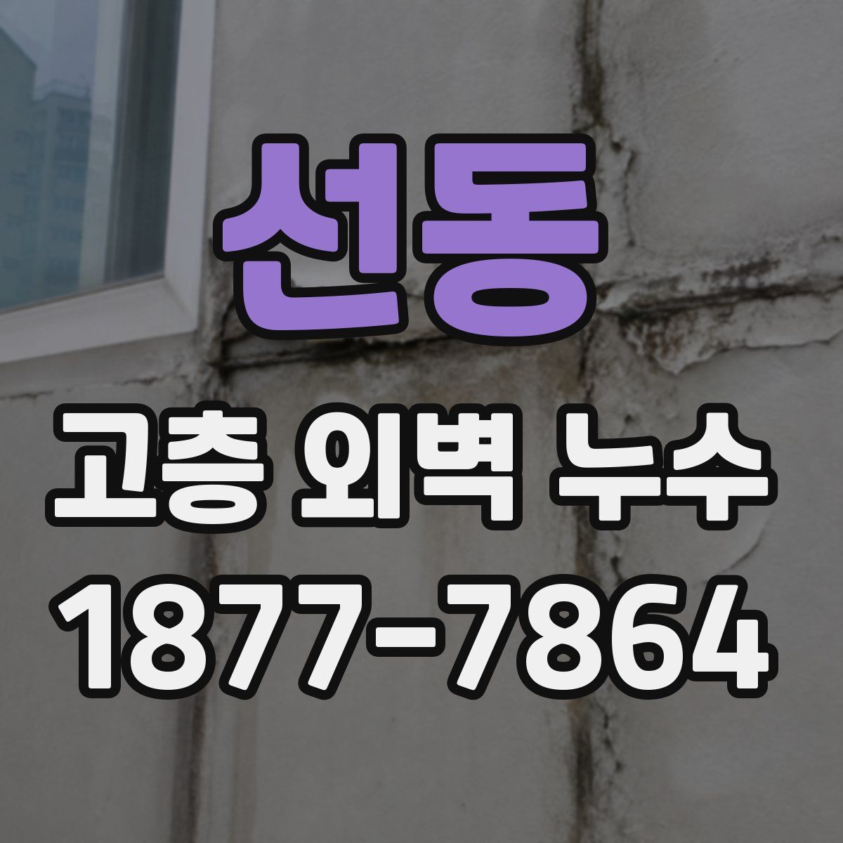 선동 고층 외벽 누수