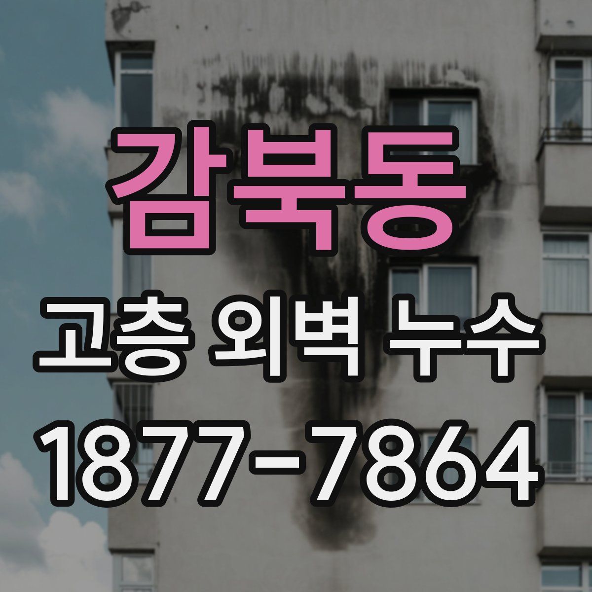감북동 고층 외벽 누수