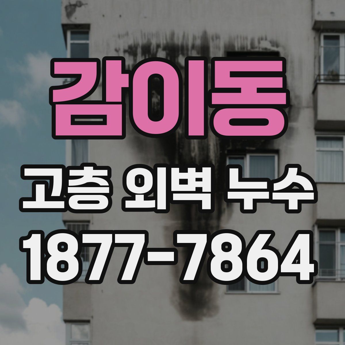 감이동 고층 외벽 누수