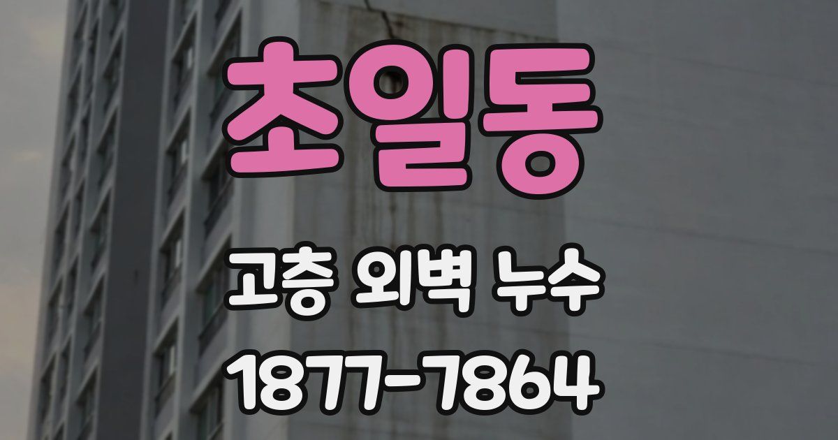 초일동 고층 외벽 누수