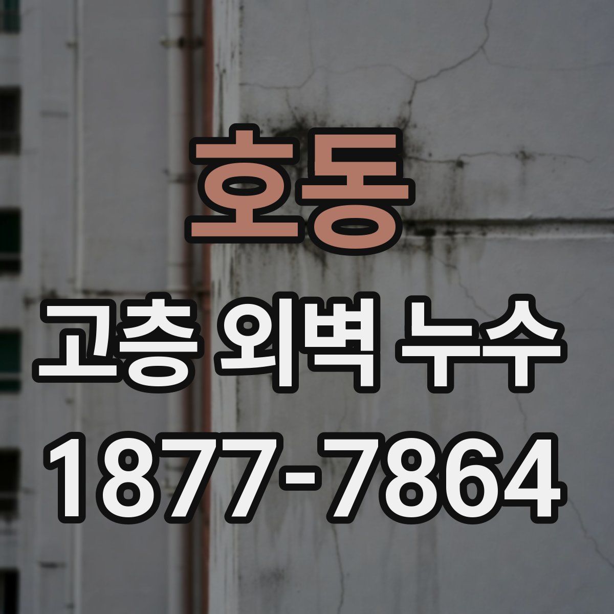 호동 고층 외벽 누수