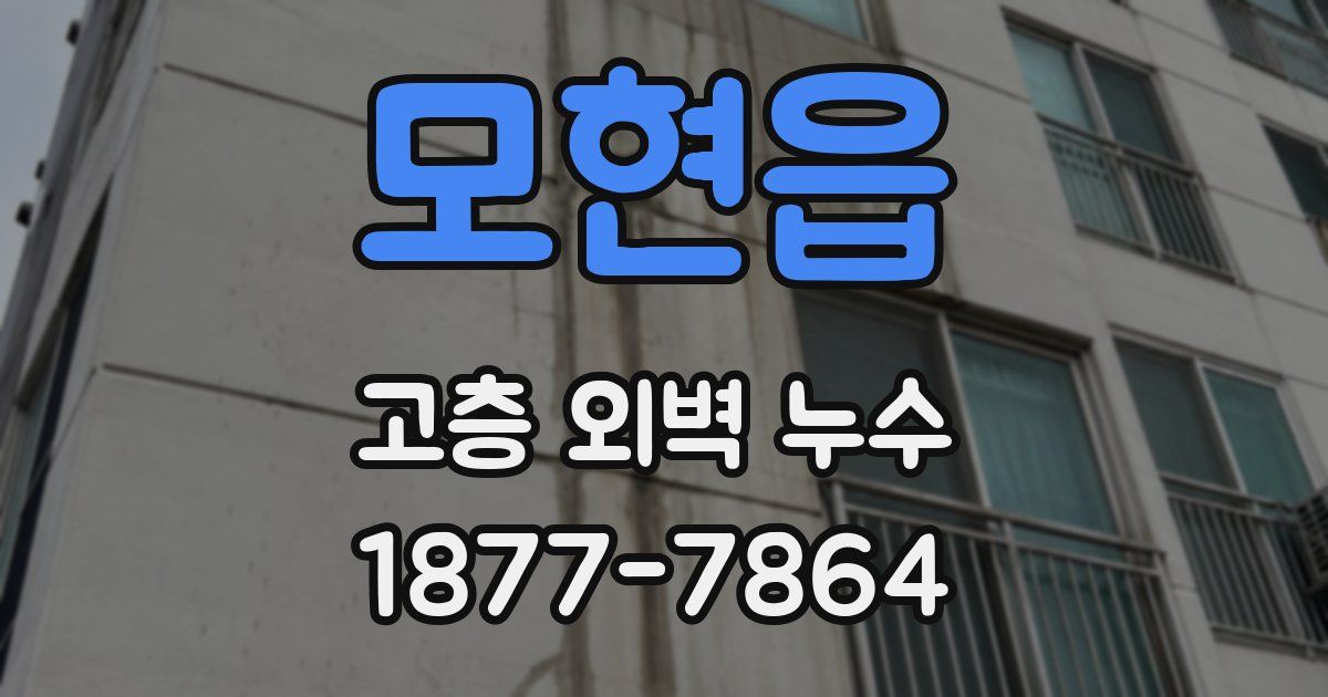 모현읍 고층 외벽 누수
