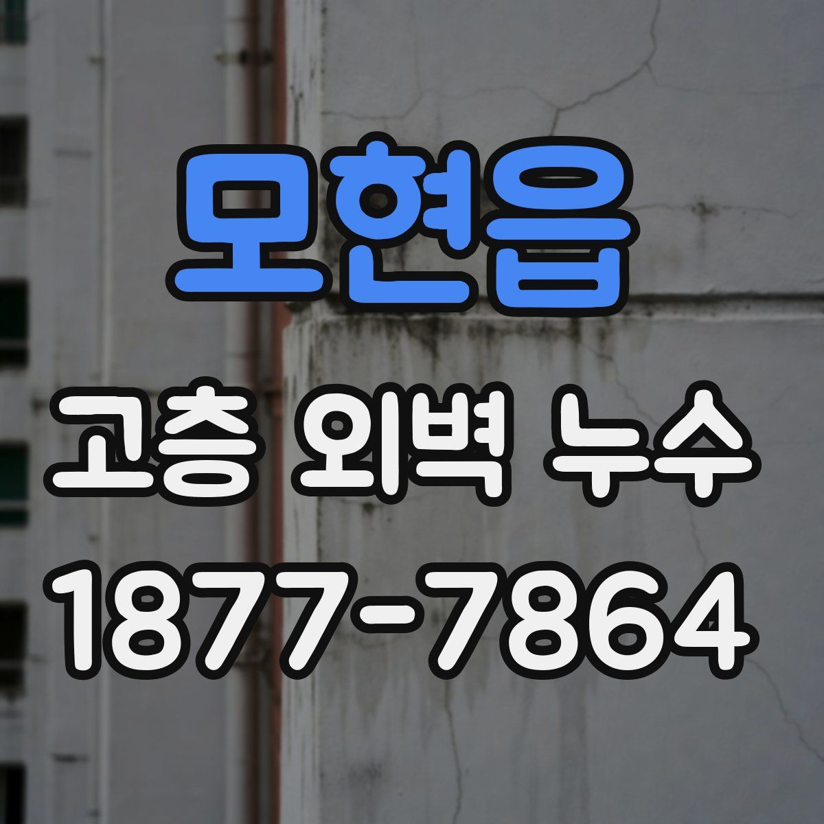 모현읍 고층 외벽 누수