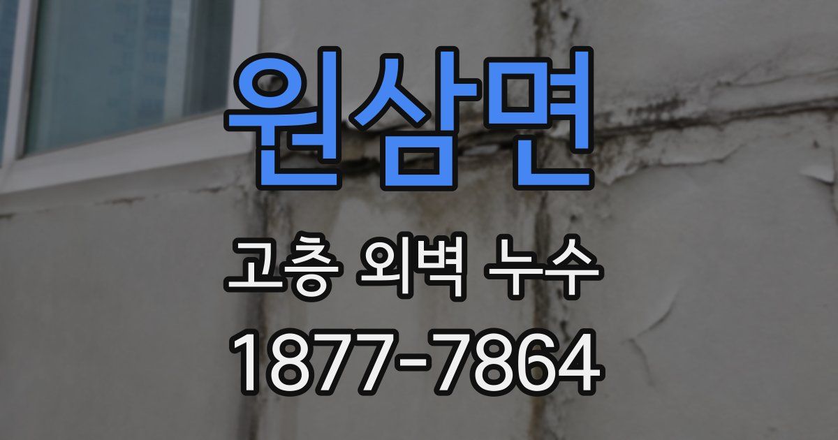 원삼면 고층 외벽 누수