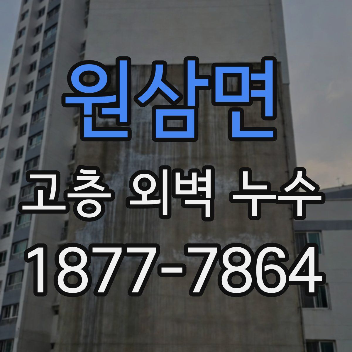원삼면 고층 외벽 누수