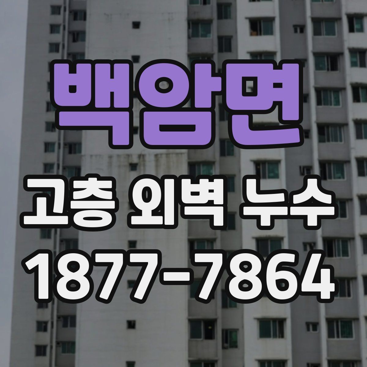 백암면 고층 외벽 누수 예방을 위한 정기 점검 항목