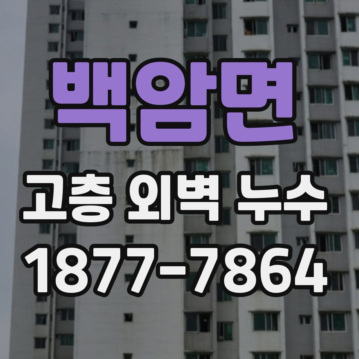 백암면 고층 외벽 누수