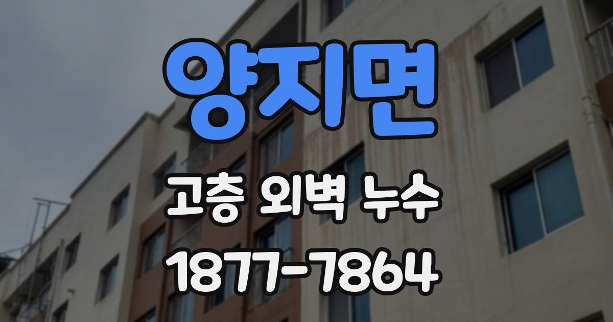 양지면 고층 외벽 누수