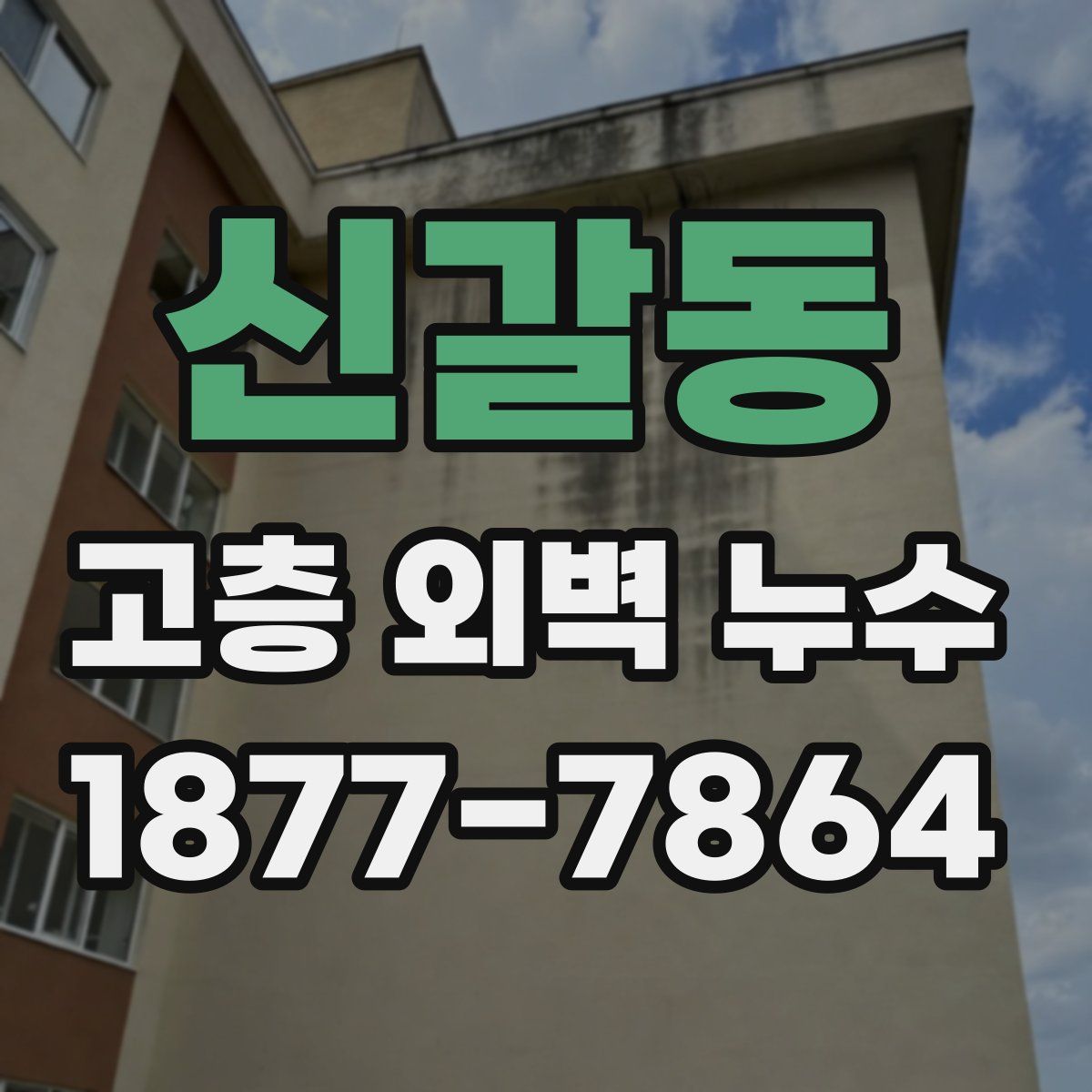 신갈동 고층 외벽 누수