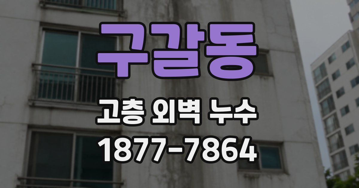 구갈동 고층 외벽 누수