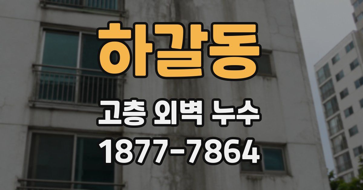 하갈동 고층 외벽 누수