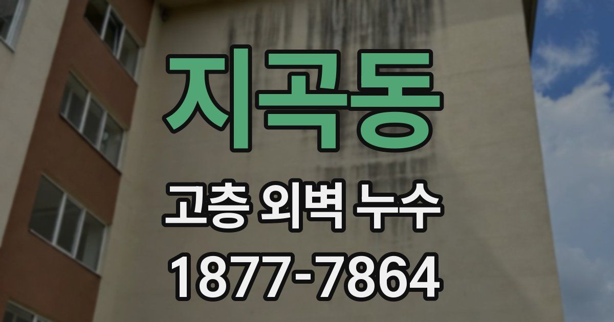 지곡동 고층 외벽 누수