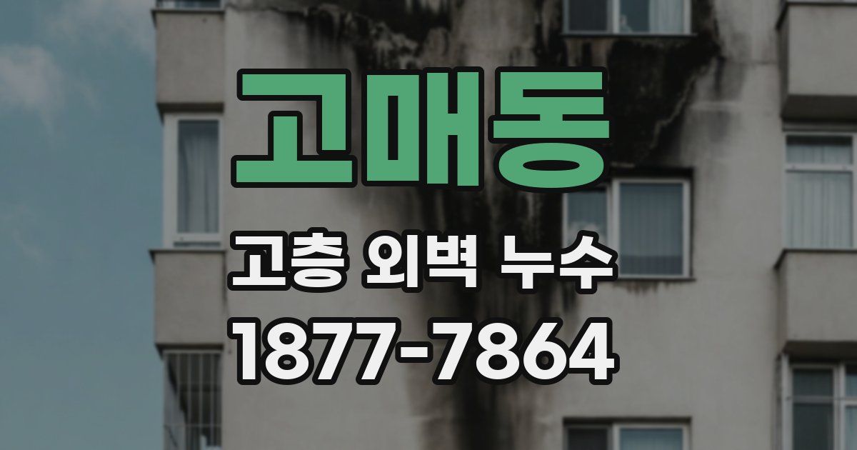 고매동 고층 외벽 누수